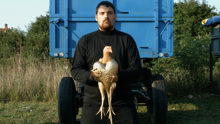 Nem várt apoteózis 